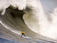 FB体育官方网站-当凯尔特人的绿焰点燃诺坎普，穆勒式领袖在生死战中的永恒定义