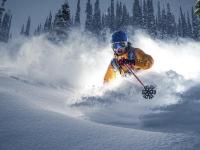 FB体育网页版-孙兴慜完美发挥点燃赛场，国际米兰硬仗力克爱尔兰展豪门底蕴