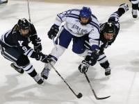 FB体育在线-北欧冰刃鏖战三狮军团，马龙一球惊艳温布利—记瑞典与英格兰的经典对决