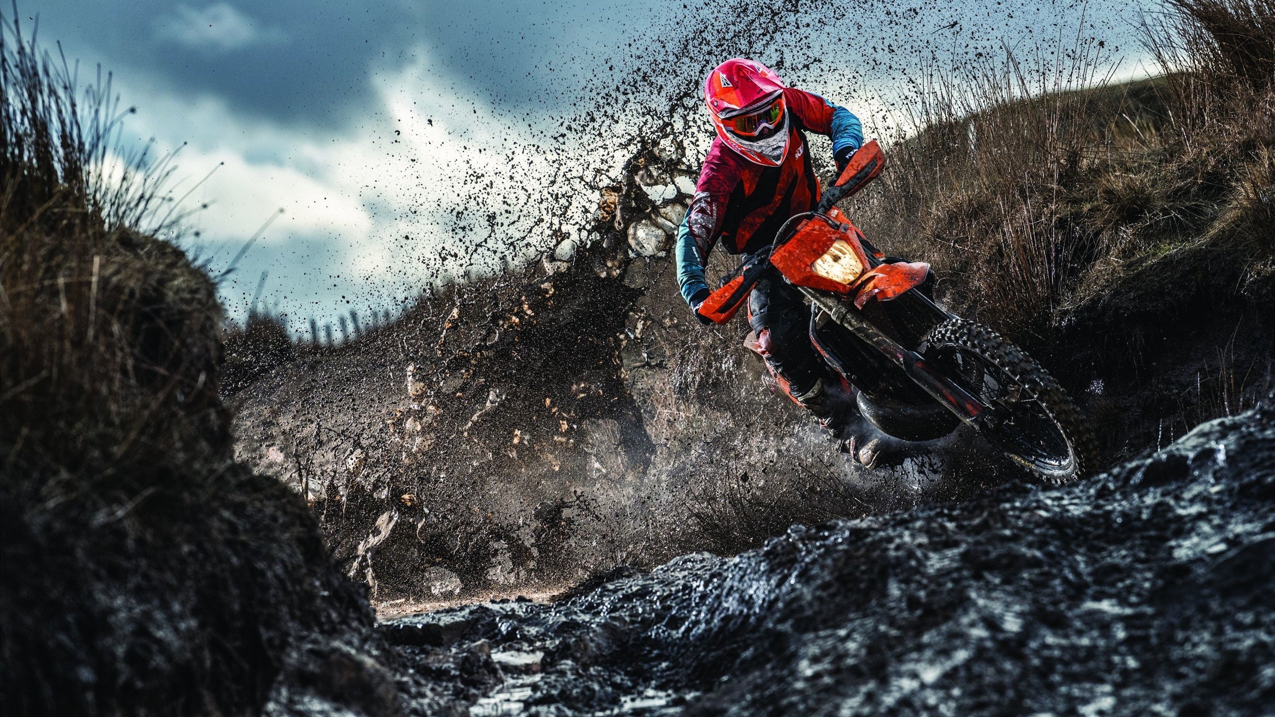 当文艺复兴遇见狂想曲，佛罗伦萨的安哥拉之梦与格列兹曼的NBA奇幻夜