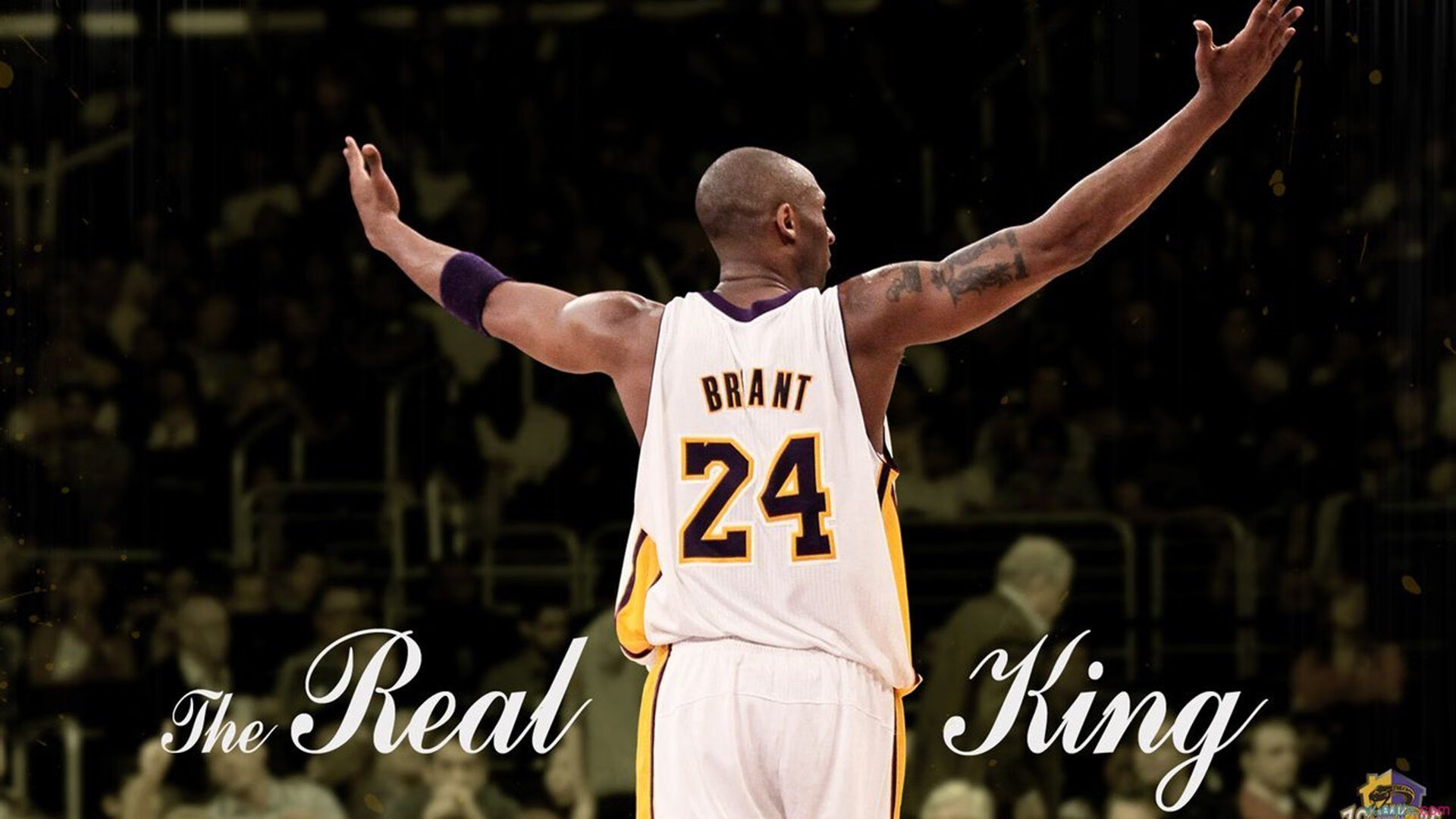 跨越赛场的传奇,当老鹰的生死战与英超的拉文现象相遇