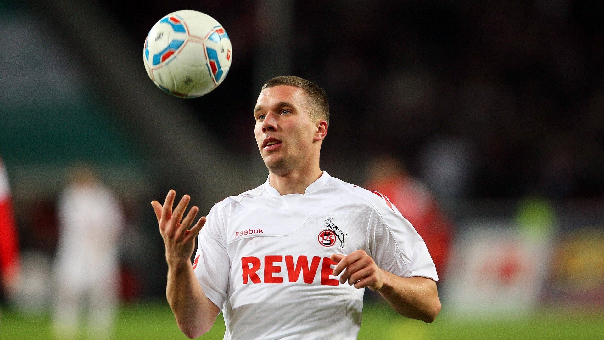 诺里斯一骑绝尘,雷诺绝地反击—威廉姆斯旧梦难续的赛道革命